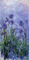 Lila Iris Claude Monet Impresionismo Flores